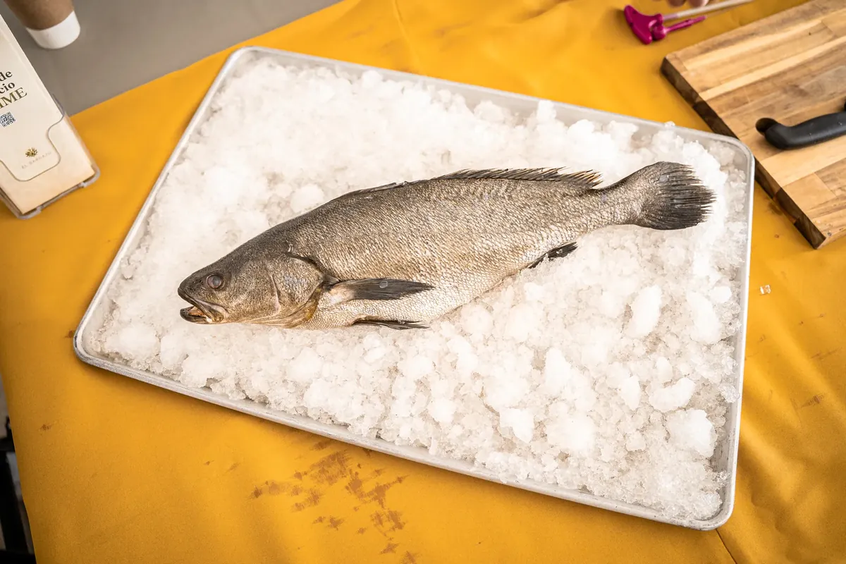 Pescado entero recién capturado sobre hielo
