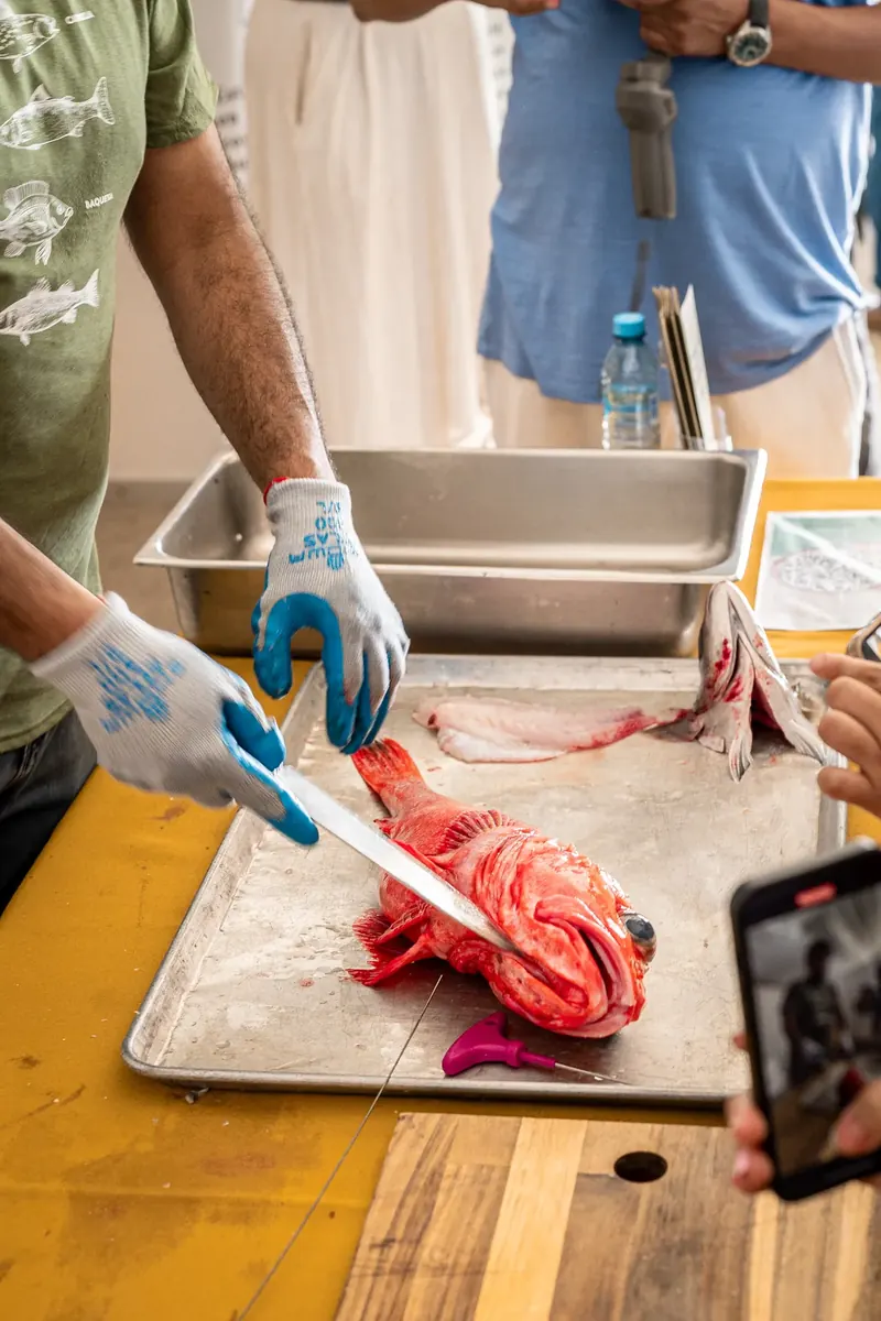 Demostración de fileteado de pescado rojo